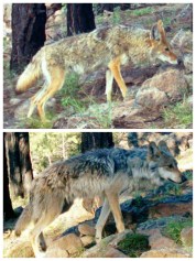 collage_20150930151632106