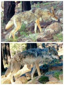 collage_20150930151632106