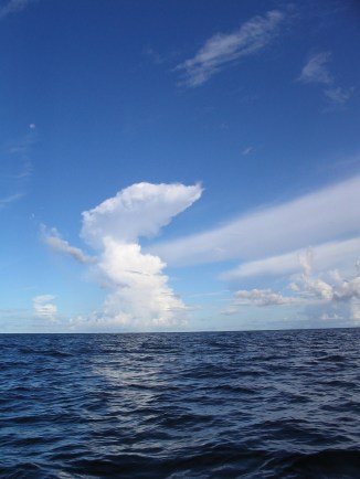 wea03279_-_flickr_-_noaa_photo_library