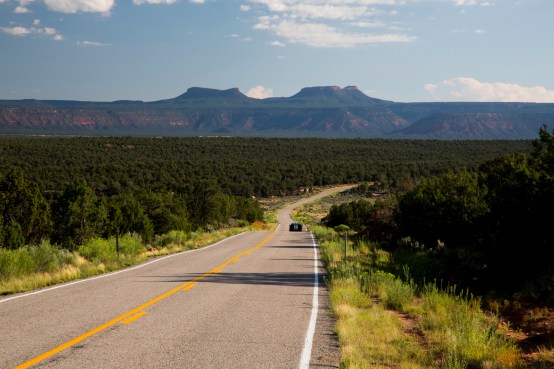 road_in_bears_ears
